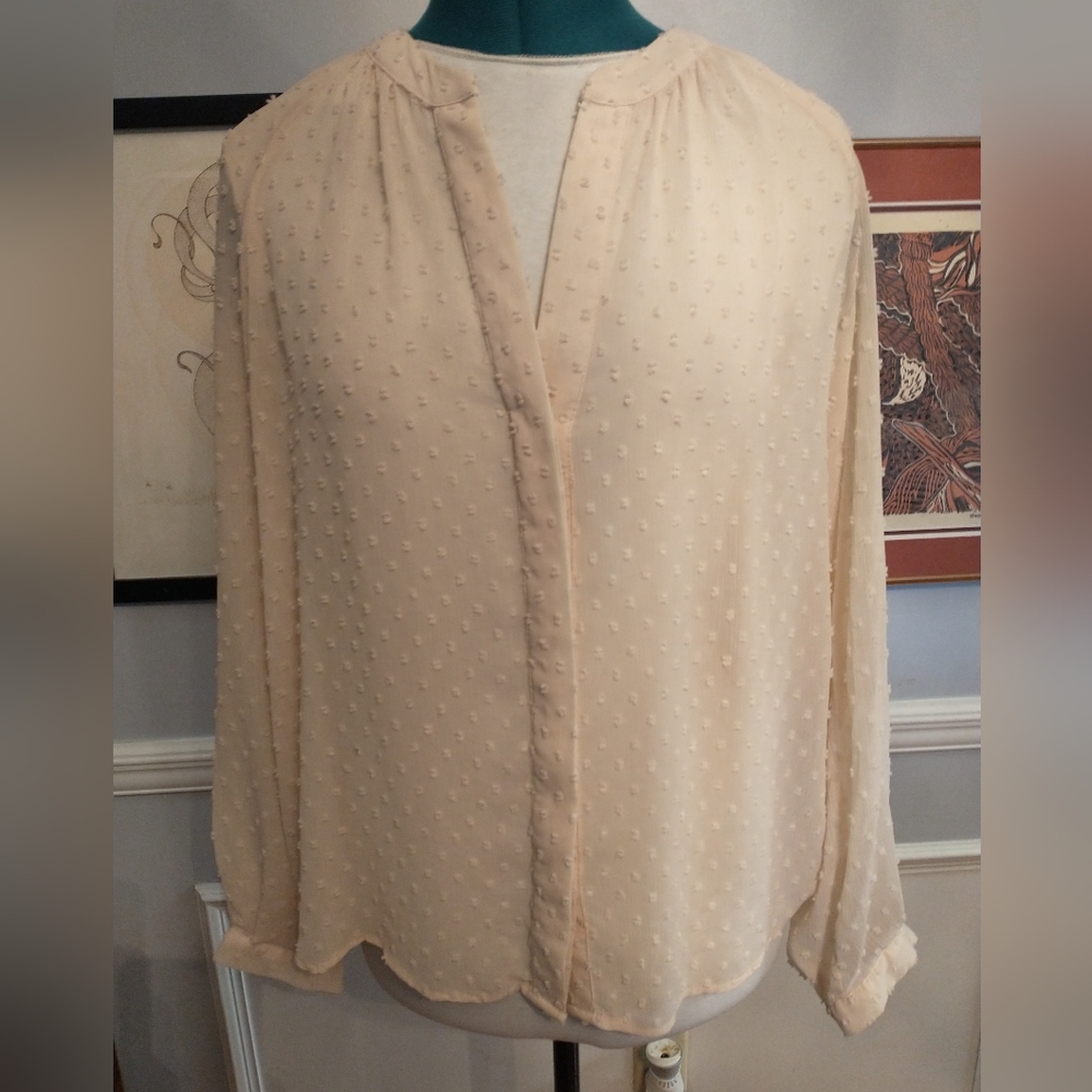 Zara sheer Button Up blouse with swiss dots Cream Color Size Medium